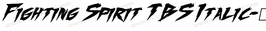 Fighting Spirit TBS Italic字体转换